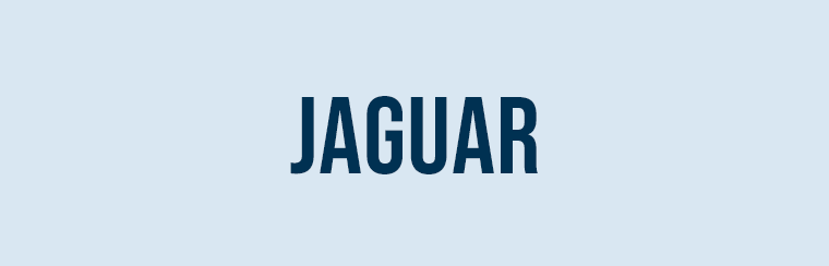 Rettungskarten | Rettungsdatenblatt für alle KFZ-Modelle von Jaguar zum Download